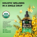 mullein-drops-for-lungs-usda-organic-liq-4.jpg