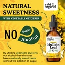 wild-organic-mullein-drops-for-lungs-det-6.jpg
