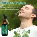qjcwxiaox-mullein-drops-for-lungs-mullei-2.jpg