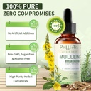 mullein-drops-for-lungs-with-mullein-lea-6.jpg