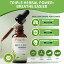 mullein-drops-for-lungs-with-mullein-lea-4.jpg
