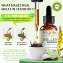 mullein-drops-for-lungs-with-mullein-lea-2.jpg