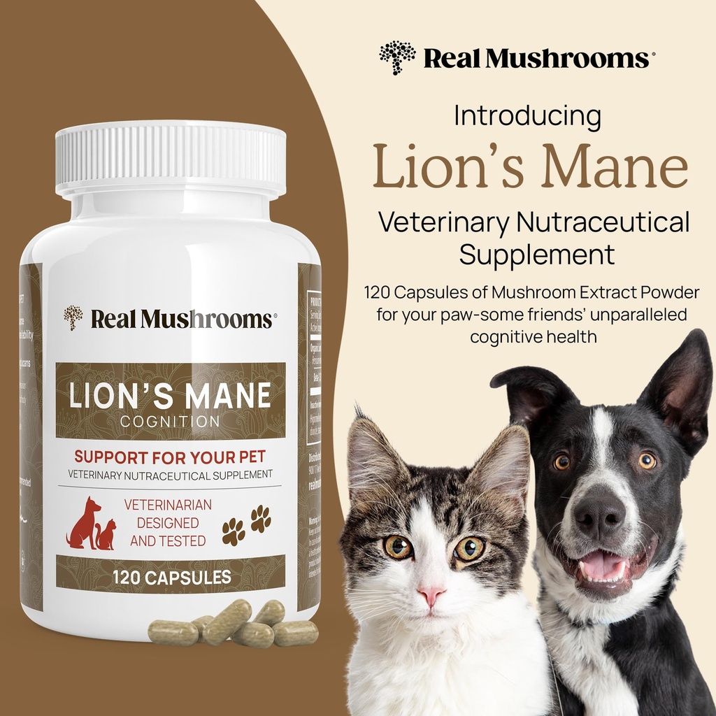 real-mushrooms-lions-mane-for-humans-120-6.jpg