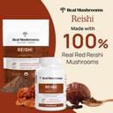 real-mushrooms-peak-performance-bundle-l-4.jpg