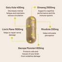 vegan-vitality-brain-nutrition-bundle-li-4.jpg