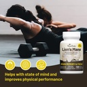 vegan-vitality-brain-nutrition-bundle-li-5.jpg