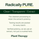 plant-therapy-lion-s-mane-mushroom-suppl-5.jpg