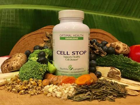 cell-stop-powerful-cell-division-support-4.jpg