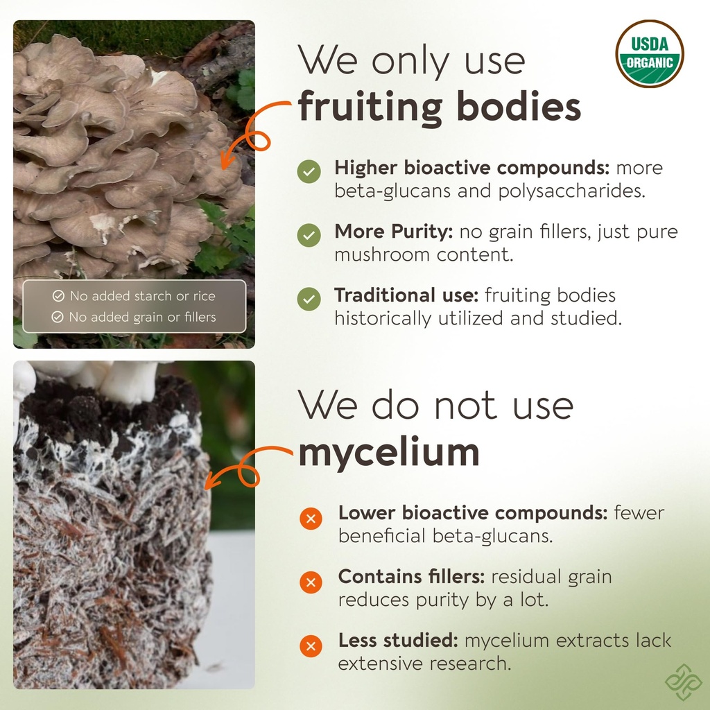 longevity-botanicals-organic-maitake-mus-2.jpg