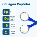 zammex-collagen-peptides-powder-unflavor-5.jpg