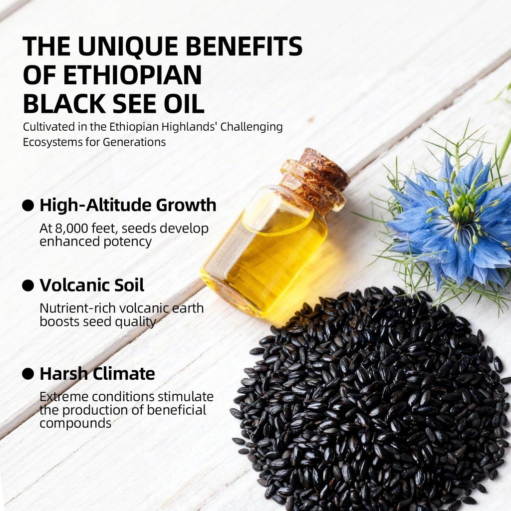 ethiopian-black-seed-oil-800mg-high-pote-2.jpg