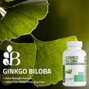 bronson-ginkgo-biloba-extra-strength-bra-3.jpg