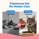 2-pack-colostrum-nutritional-gel-for-dog-2.jpg
