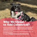 2-pack-colostrum-nutritional-gel-for-dog-5.jpg