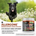 clean-pets-dog-allergy-relief-chews-itch-4.jpg