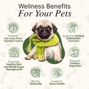 milk-thistle-for-dogs-and-cats-liver-cle-3.jpg