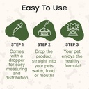 milk-thistle-for-dogs-and-cats-liver-cle-4.jpg