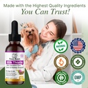 milk-thistle-for-dogs-and-cats-liver-cle-6.jpg
