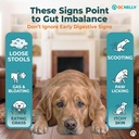 ol-nelly-dog-probiotic-paste-for-dogs-ca-2.jpg