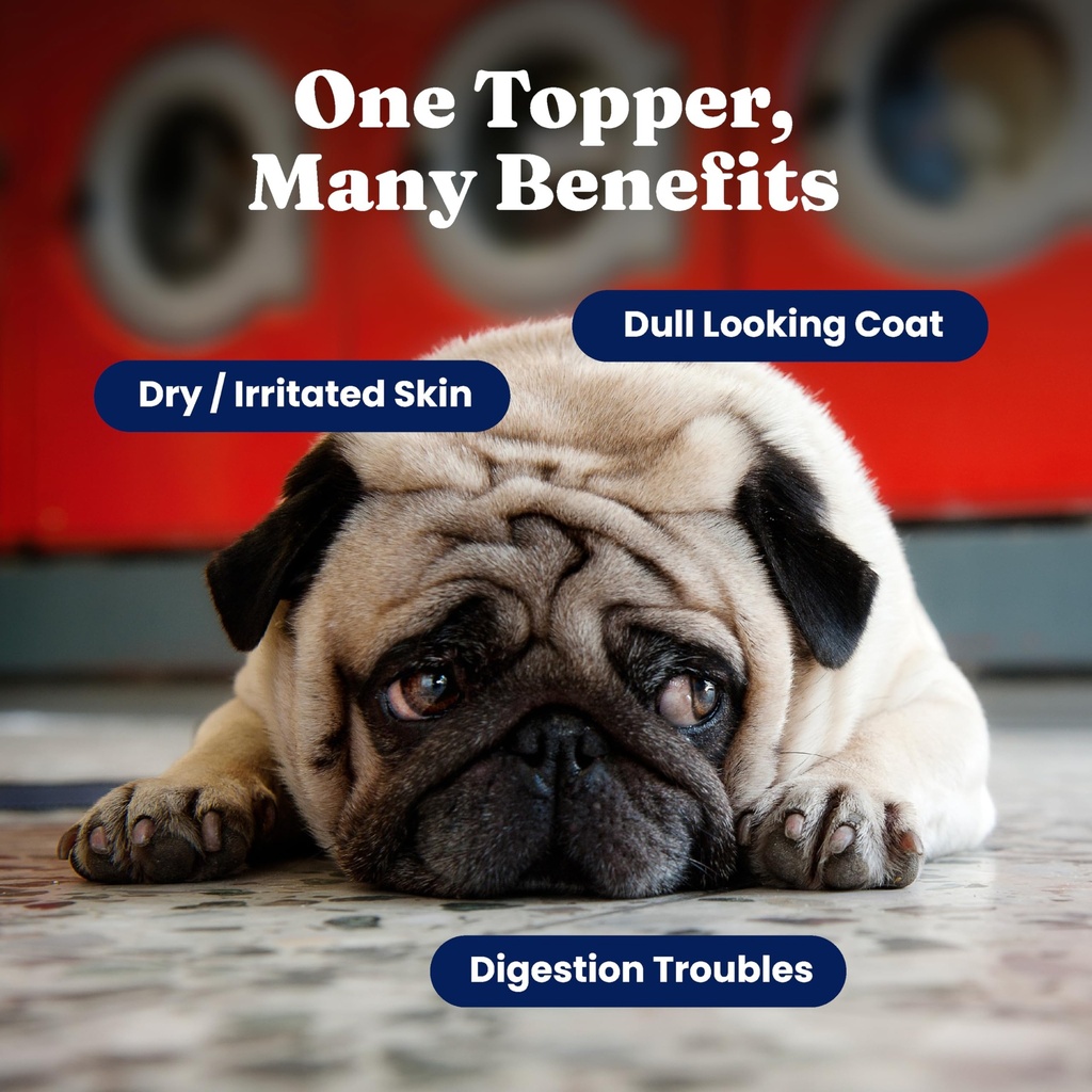 solid-gold-seameal-cat-probiotic-dog-pro-3.jpg
