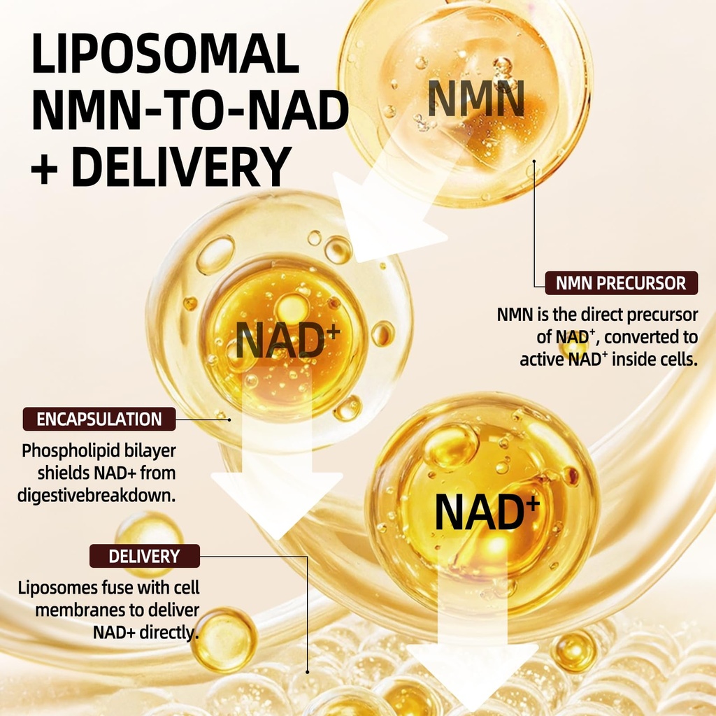 nmn-supplement-1000mg-liposomal-nicotina-5.jpg