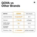 qova-nmn-longevity-mix-supplement-15-cli-5.jpg