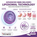 liposomal-nmn-supplement-1000mg-per-serv-4.jpg