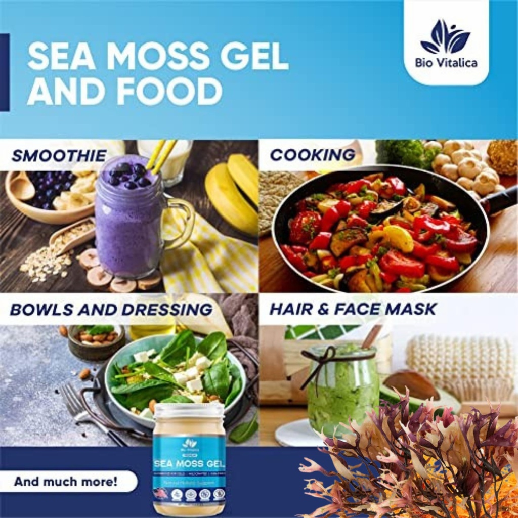 irish-sea-moss-gel-12oz-usa-made-dr-sebi-3.jpg