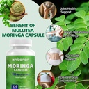 moringa-oleifera-extract-700mg-per-servi-4.jpg