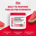gnc-pro-performance-micronized-creatine--4.jpg