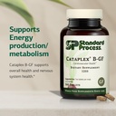 standard-process-cataplex-b-gf-supports--3.jpg