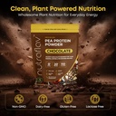 chocolate-vegan-pea-protein-powder-plant-3.jpg