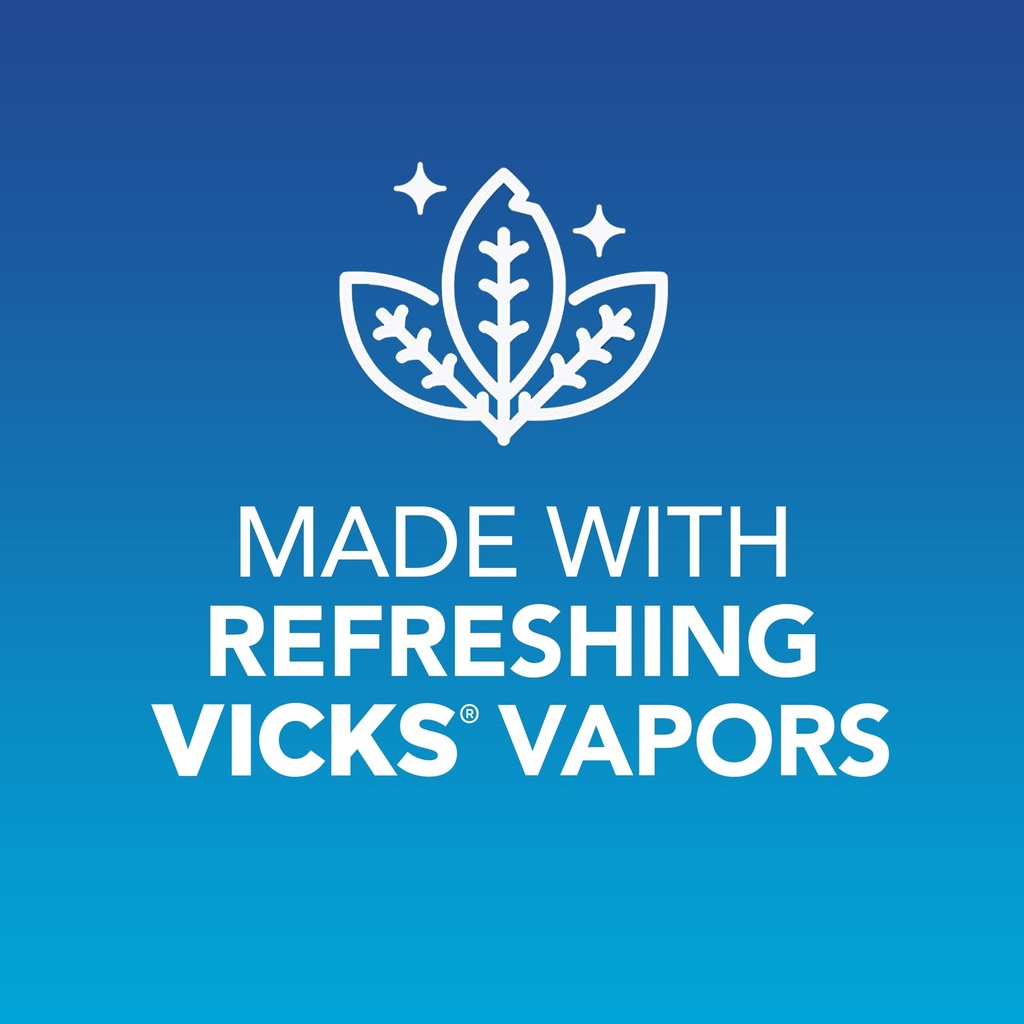 vicks-vapoinhaler-2-pack-vicks-vapo-rub--4.jpg