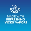 vicks-vapoinhaler-2-pack-vicks-vapo-rub--4.jpg