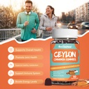 2-pack-sugar-free-ceylon-cinnamon-gummie-2.jpg