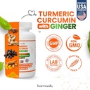 turmeric-curcumin-supplement-with-ginger-3.jpg