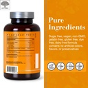 new-nordic-turmeric-curcumin-gummies-sug-6.jpg