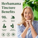 herbamama-ginkgo-biloba-supplements-brai-5.jpg
