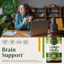 herbamama-ginkgo-biloba-supplements-brai-2.jpg