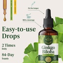 herbamama-ginkgo-biloba-supplements-brai-6.jpg