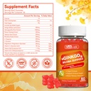 ginkgo-biloba-gummies-with-ashwagandha-v-6.jpg