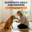 ginkgo-biloba-for-dogs-senior-dog-cognit-5.jpg