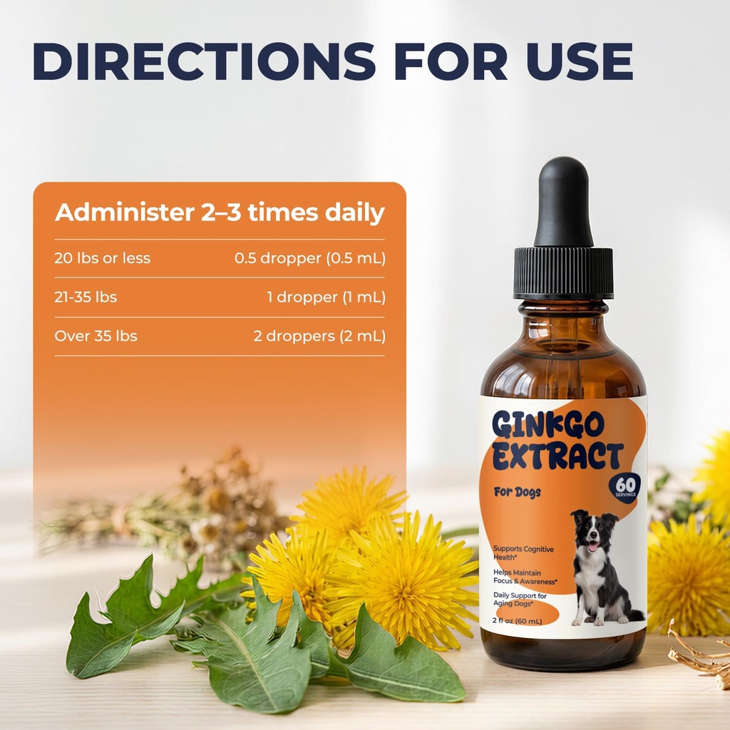 ginkgo-biloba-for-dogs-senior-dog-cognit-4.jpg