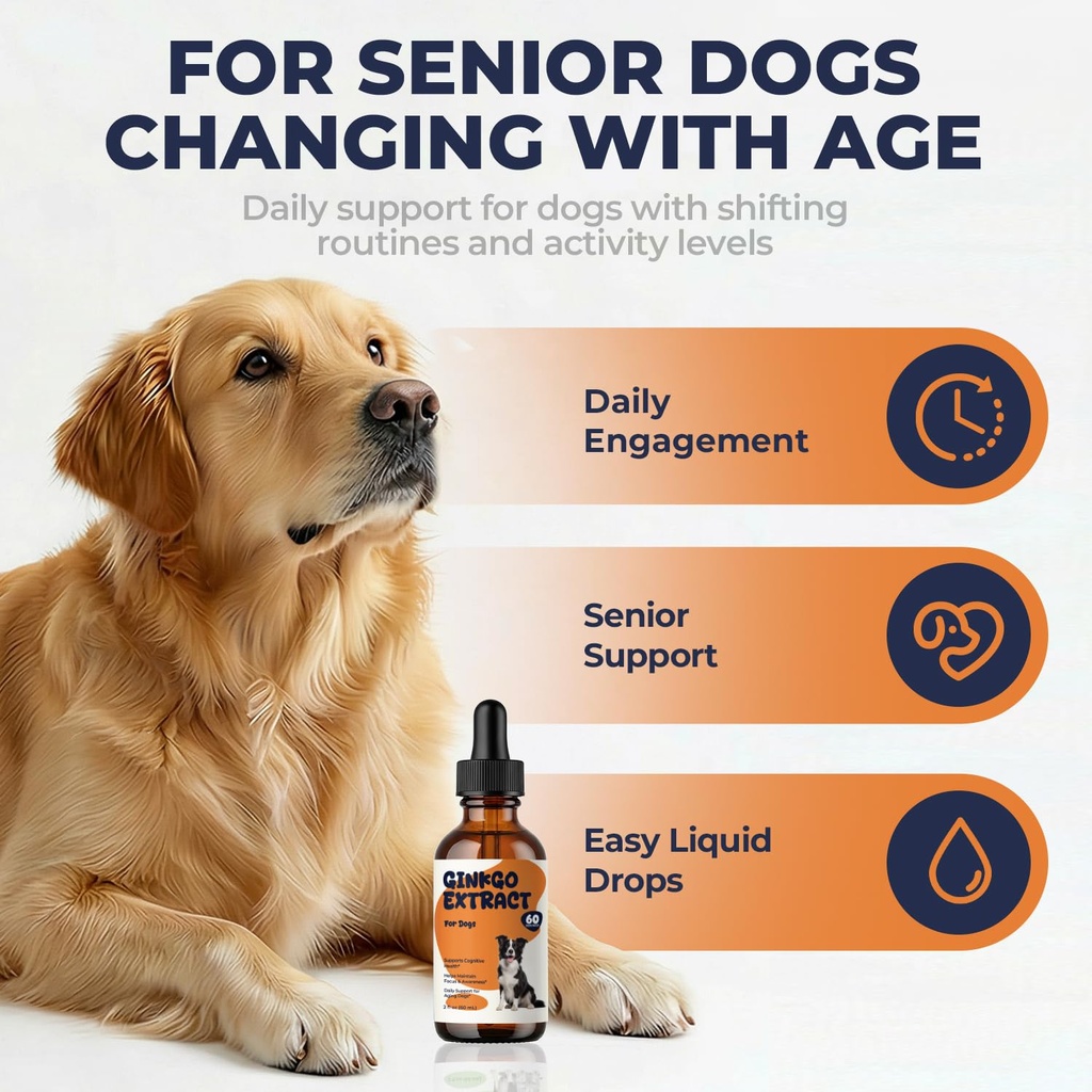 ginkgo-biloba-for-dogs-senior-dog-cognit-2.jpg
