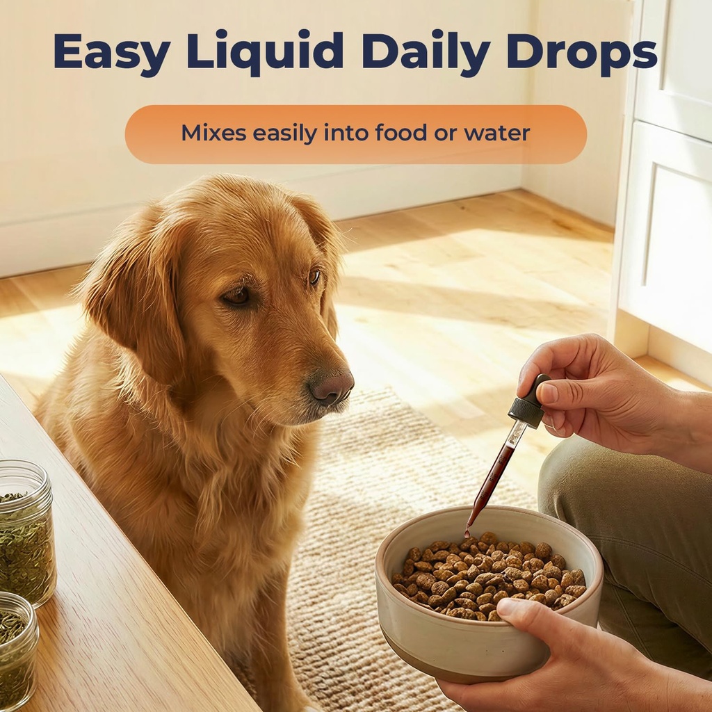 ginkgo-biloba-for-dogs-senior-dog-cognit-6.jpg