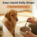 ginkgo-biloba-for-dogs-senior-dog-cognit-6.jpg