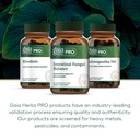 gaia-herbs-pro-intestinal-fungal-balance-6.jpg
