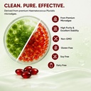 revella-astaxanthin-body-flexibility-sup-6.jpg