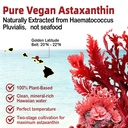 astaxanthin-12mg-24mg-gummies-astaxanthi-4.jpg