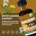 dandelion-root-extract-drops-diente-de-l-2.jpg